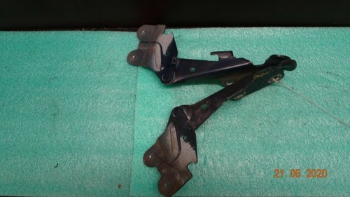 RENAULT VEL SATIS 3.0 dCi Motorhaube Scharniere Satz 418248 J