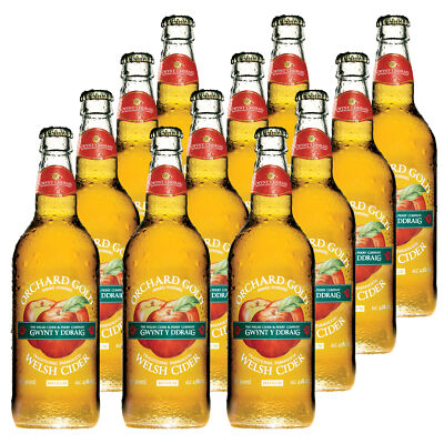 Gwynt y Ddraig Orchard Gold Medium Cider 12x500ml Großbritannien Wales