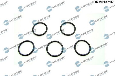 Dr.Motor Automotive DRM01371R Sealing Ring, Oil Drain Plug for BMW