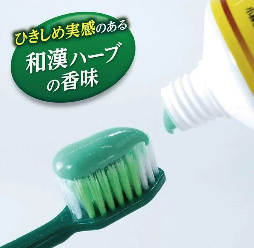 Pasta de dientes Fresh Leaves EX 100 g de Japón Foto 4 de 4