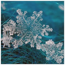 Pannello MDF-Snow-Art Studio Wallart - Stampa su Tavola - Riproduzione Artistica