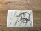 Lithuania 1 Talonas Banknote 1991