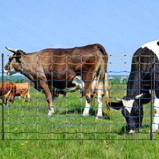 Electric Netting Fence Kit Sheep Fencing 42"H x 164'L with Posts Spikes