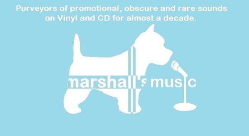 GARBAGE ANDROGYNY (G92) 3 Track CD Single with Picture Sleeve MUSHROOM RECORDS - Picture 3 of 8