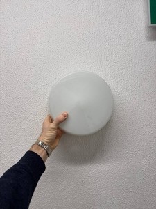 Ingo Maurer Lucellino NT Wall Lamps (2pcs)