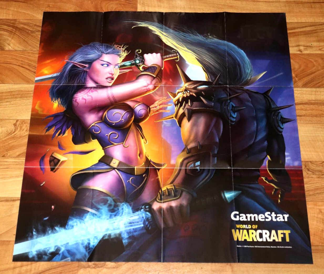 World Of Warcraft Blizzard Rare Map / Poster 67X64Cm