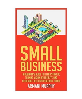 Small Business: A Beginner's Guide to A Lean Startup, Turning Vision Into Realit