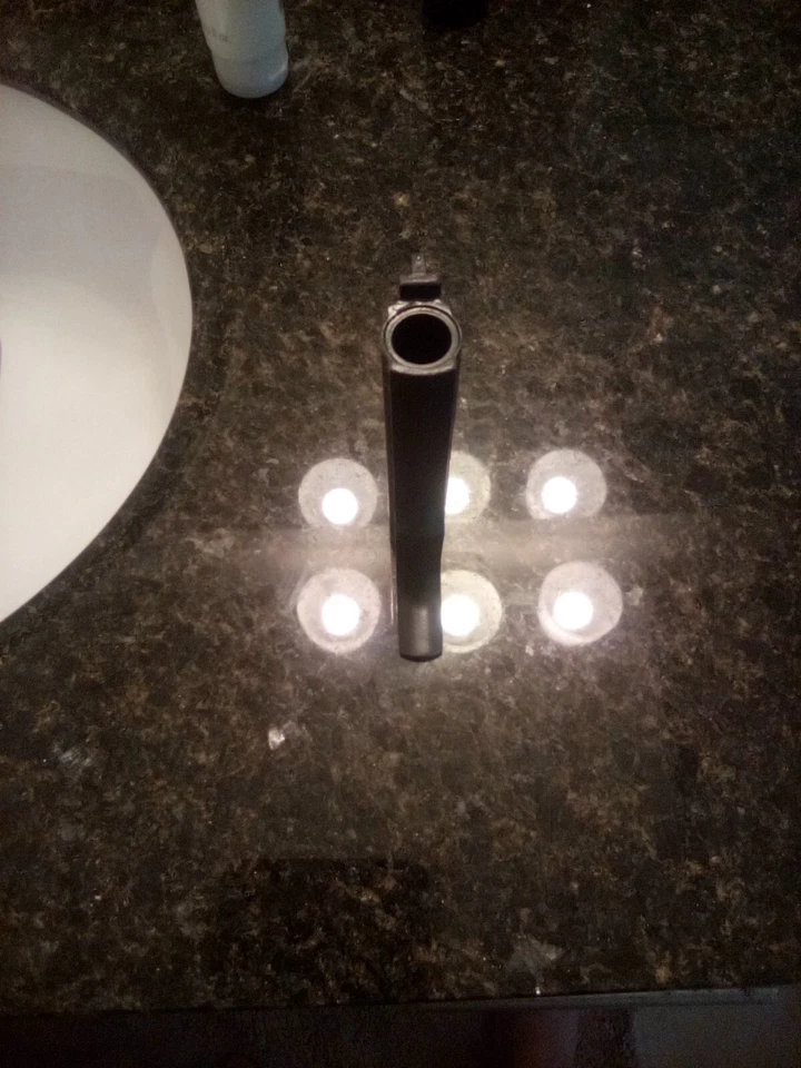 Dan Wesson (Revolver) 357 Mag 5 英寸枪管组件罩 — 第 4/4 张图片