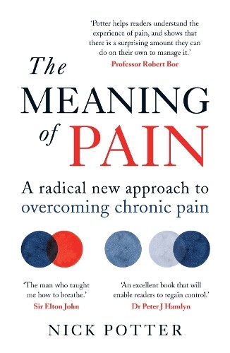 Thumbnail - Nick Potter The Meaning Of Pain (taschenbuch) (us Import)