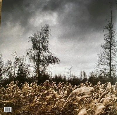 Wiegedood De Doden Hebben Het Goed ASH GREY / INSERT INCL. NEAR MINT Vinyl LP
