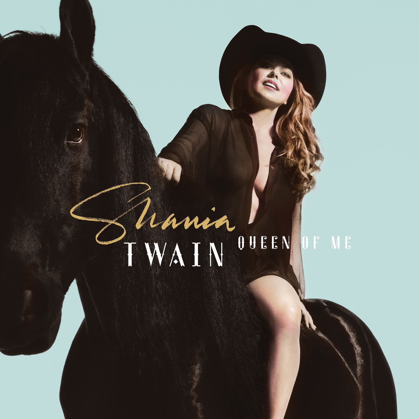 Альбом Shania Twain Queen of Me (CD)