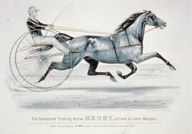 Harness Racing,Horse Racing,Celebrated Trotting Horse Henry