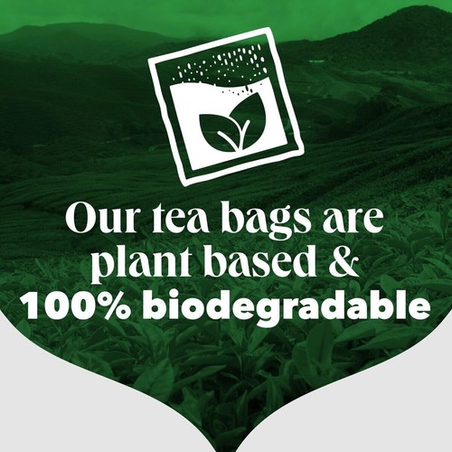 PG Tips String and Tag One Cup Everyday Tea Bags (Pack 100 Count of 1) - Picture 4 of 4