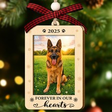 Picture Frame Pet Memorial Christmas Ornaments 2025 - Forever in Our Hearts P...