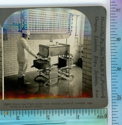 Fresh Milk over Chilled Pipes of Cooling Dairy Occupational Keystone Stereoview