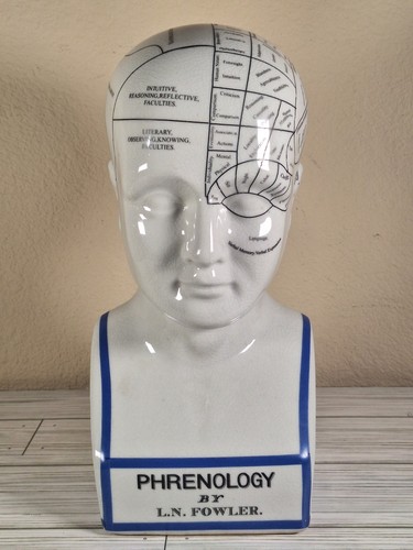 Vintage Crackled Ceramic Phrenology Head Bust L. N. Fowler 12” Victorian Medical