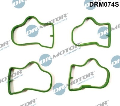Dr.Motor Automotive DRM074S Dichtungssatz, Ansaugkrümmer for OPEL VAUXHALL