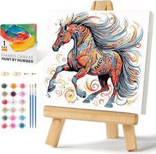 Framed Paint by Numbers Kit for Adults Beginners Kids Ages 8-12, Horse Acrylic