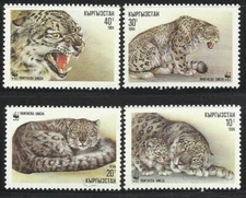 Kirgizstan - 1994 4v. MNH Snow Leopard Animals Felines