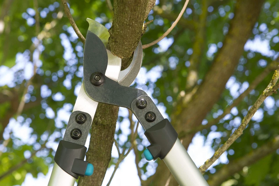 (08710) Tijeras de podar de derivación - Hoja de acero de alta resistencia para cortar en... Foto 3 de 4