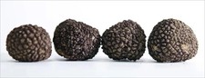Tartufo Nero fresco - Eccellenze Luxury Umbria - 100g.
