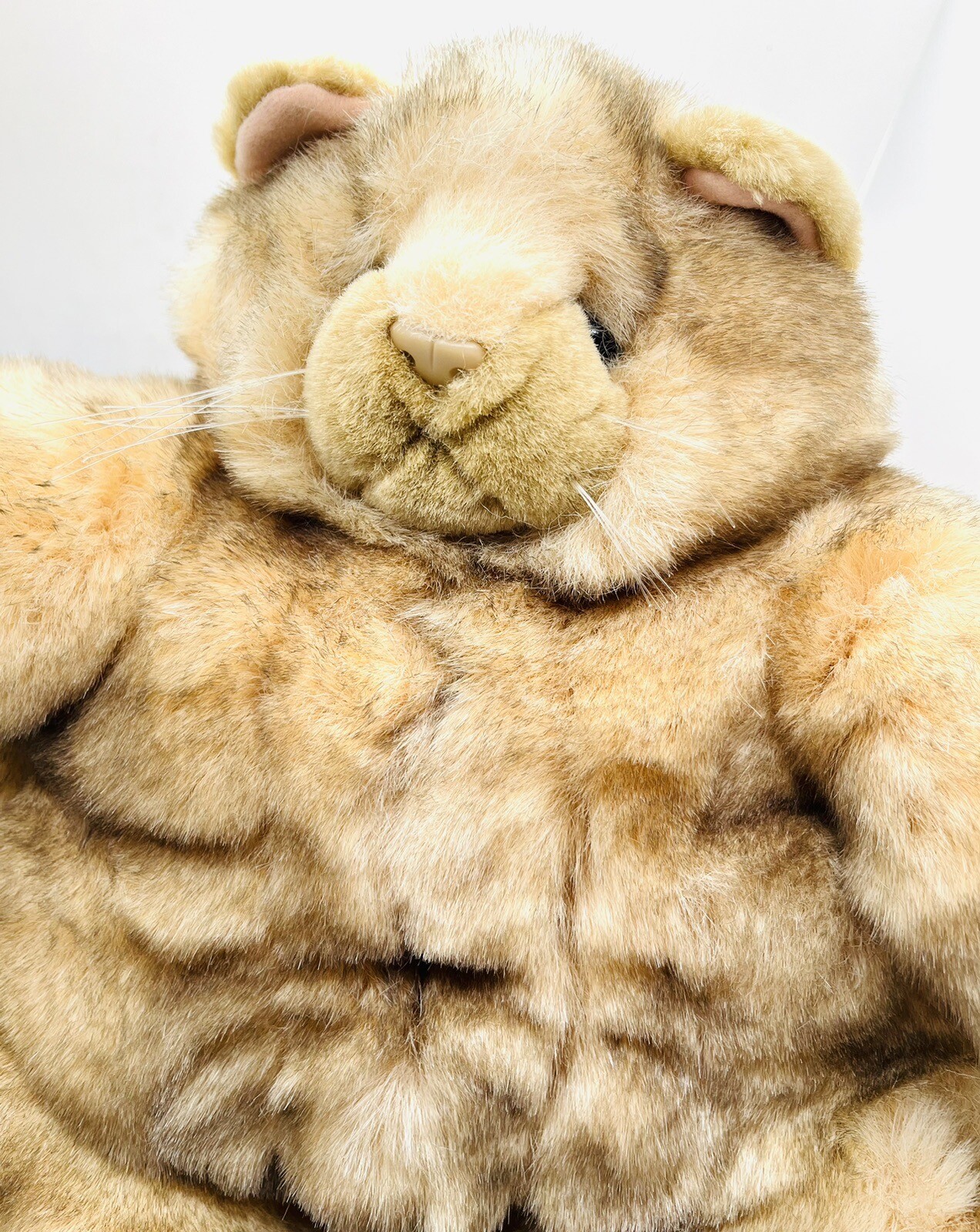 Incredible Petables Plush Stuffed FAT CAT KITTEN 2Tone Tan Tabby 12" X