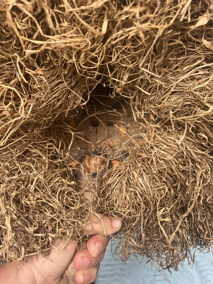 Máscara africana Foto 2 de 3