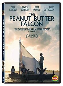 The Peanut Butter Falcon | DVD | Zustand sehr gut