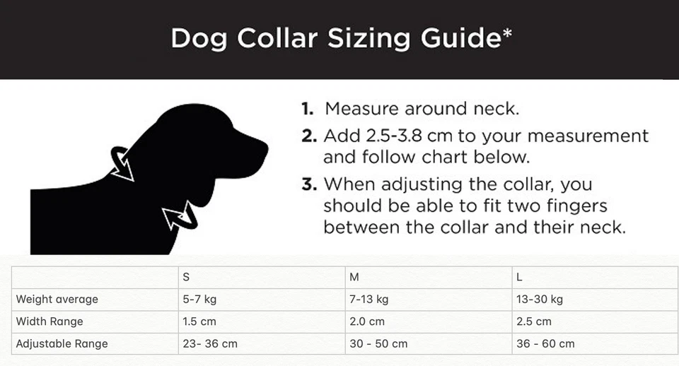 Dog Collar and Leash Set Lead Collar Nylon Classic Solid Colours  - image 2 of 4