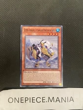 Yu-Gi-Oh! Gizmek Arakami, The Hail Boar MP22-FR133