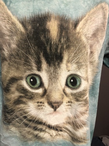 The Mountain- Kitten Face Blue Eyes Cat 