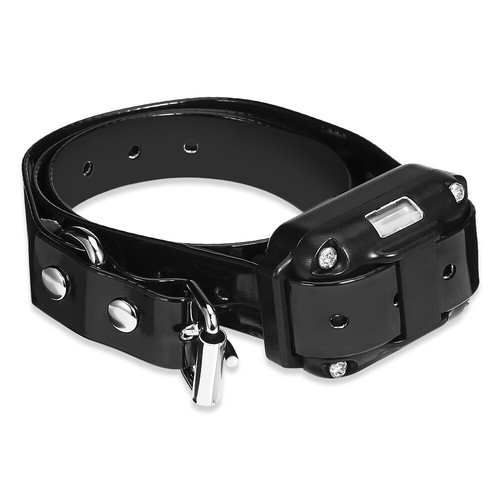 Anti Bark Pet Dog Training Collar Remote Control Obedience Collar E Collar USB - Picture 11 of 16