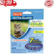 Hartz UltraGuard Flea Tick Collar for Cats Kittens 7 Months Protection - 1ct