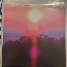 Grouper Paradise Valley 7" EP liz harris yellow electric 2016 /1000