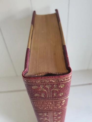 Barnaby Rudge, Hard Times by Charles Dickens Antique Victorian Leather Illus. - Picture 4 of 15