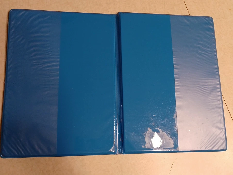 Cubierta de cuaderno Lisa Frank Friends 411 niñas regla azul viaje de amistad Foto 3 de 4