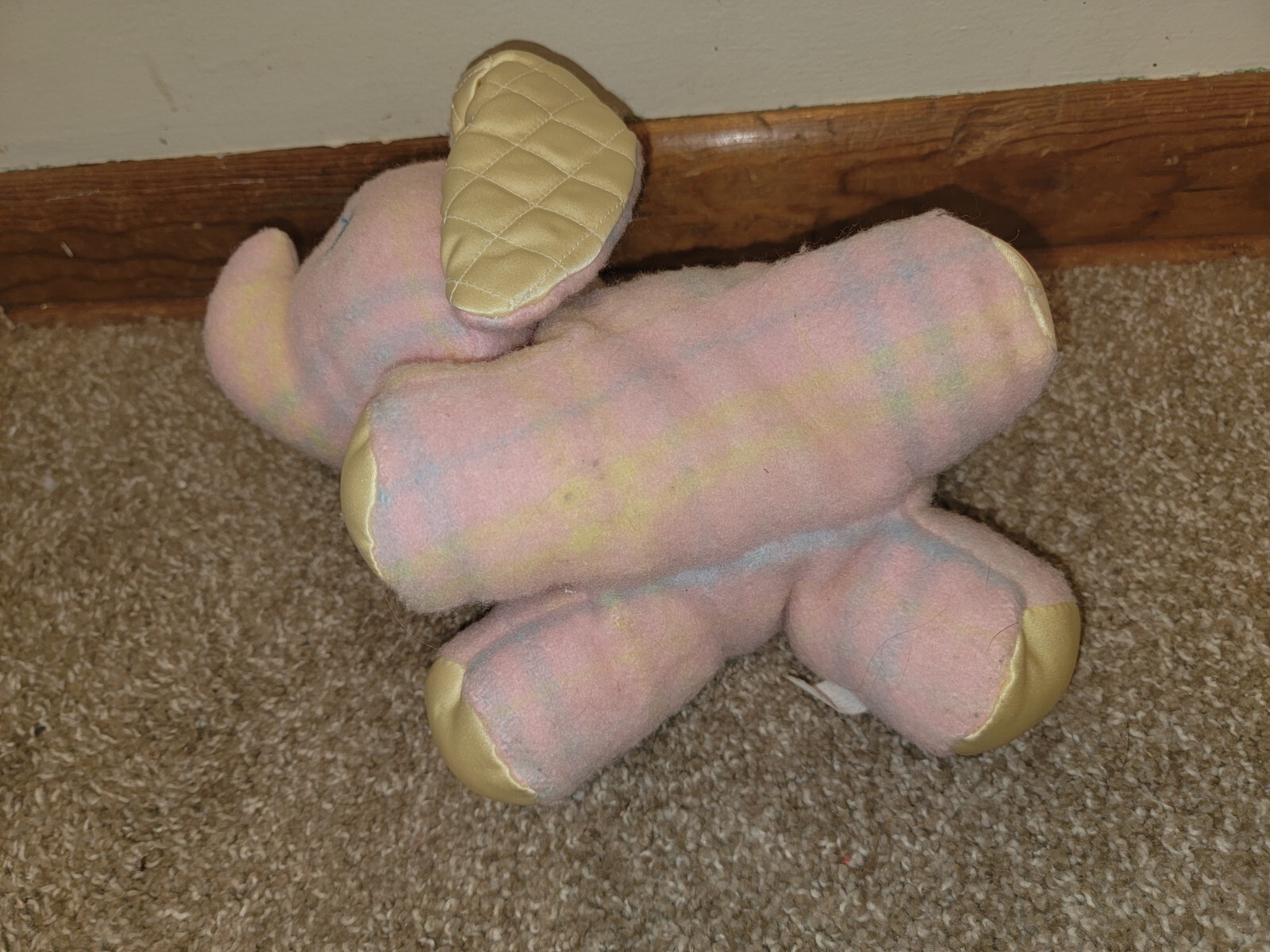 Picture 6 of 11