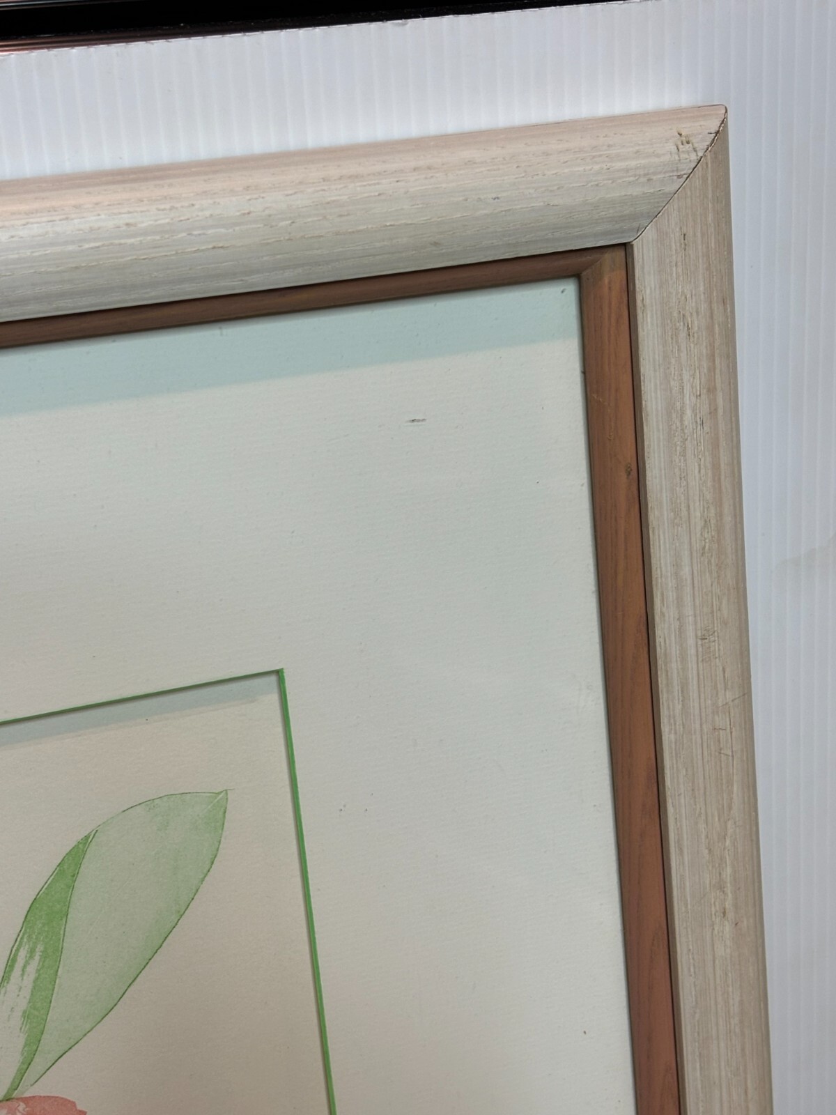 Picture 6 of 15