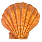 Picture 1 of 4