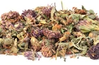 Red Clover Flowers - Pet Food & Treats - Tortoise Rabbit Degu Reptile Bunny