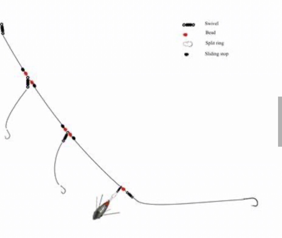 Sea Fishing Rigs 2 Up 1 Down 2/0 Hooks Perfect Whiting Cod Pollock eBay