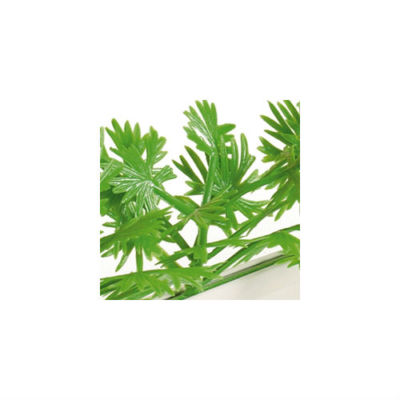 Green Cypress Garnish Divider By Dalebrook 12 Pack