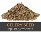 Ajmoda Ajmod Seed Dry Herbs Apium Graveolens Wild Celery Ajmud Karafs Seeds