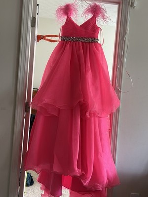 Hot Pink Feathered & Rhinestone Pageant Dress Size 12 Showstopper | eBay Hot Pink Feathered & Rhinestone Pageant Dress Size 12 Showstopper | eBay