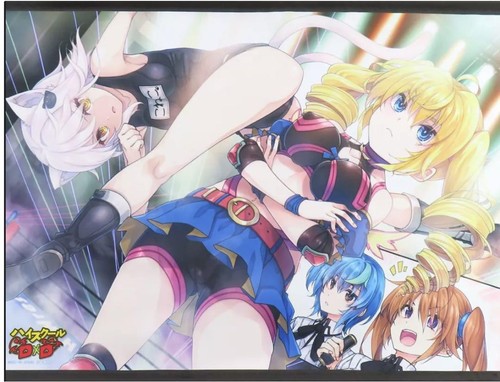 High School DxD offizieller B2 Wandteppich 20,2 × 28,6 inkl. Melonenbücher Japan - Bild 1 von 3