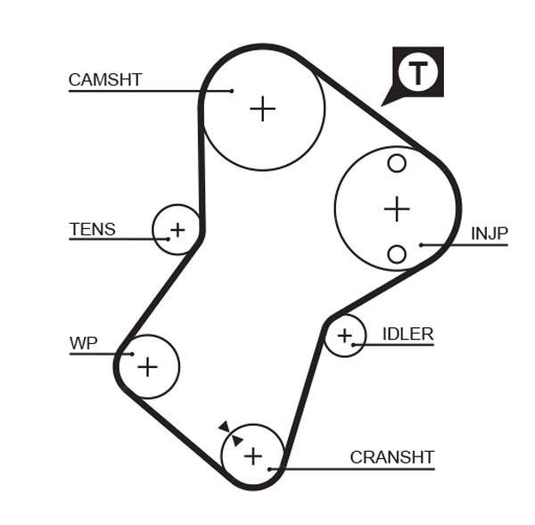 GATES-OE 5049XS Timing Belt for CITROËN,FIAT,FSO,GEO,HYUNDAI,LADA,LDV,PEUGEOT,RO