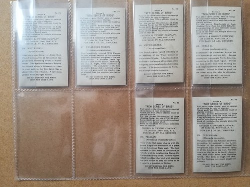 Church & Dwight-New Series Of Birds 'Series A'(1908)-Full set-EXC* - Picture 10 of 10