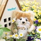 hellokawaiimon