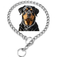 Silver Slip P Dog Chain Collars for Small Dogs, Puppy Chain Metal Training Li...