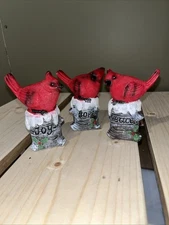 Cardinal Perched on Snowy Birch Stump  (Hope, Joy, Peace)